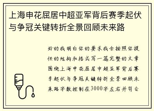 上海申花屈居中超亚军背后赛季起伏与争冠关键转折全景回顾未来路